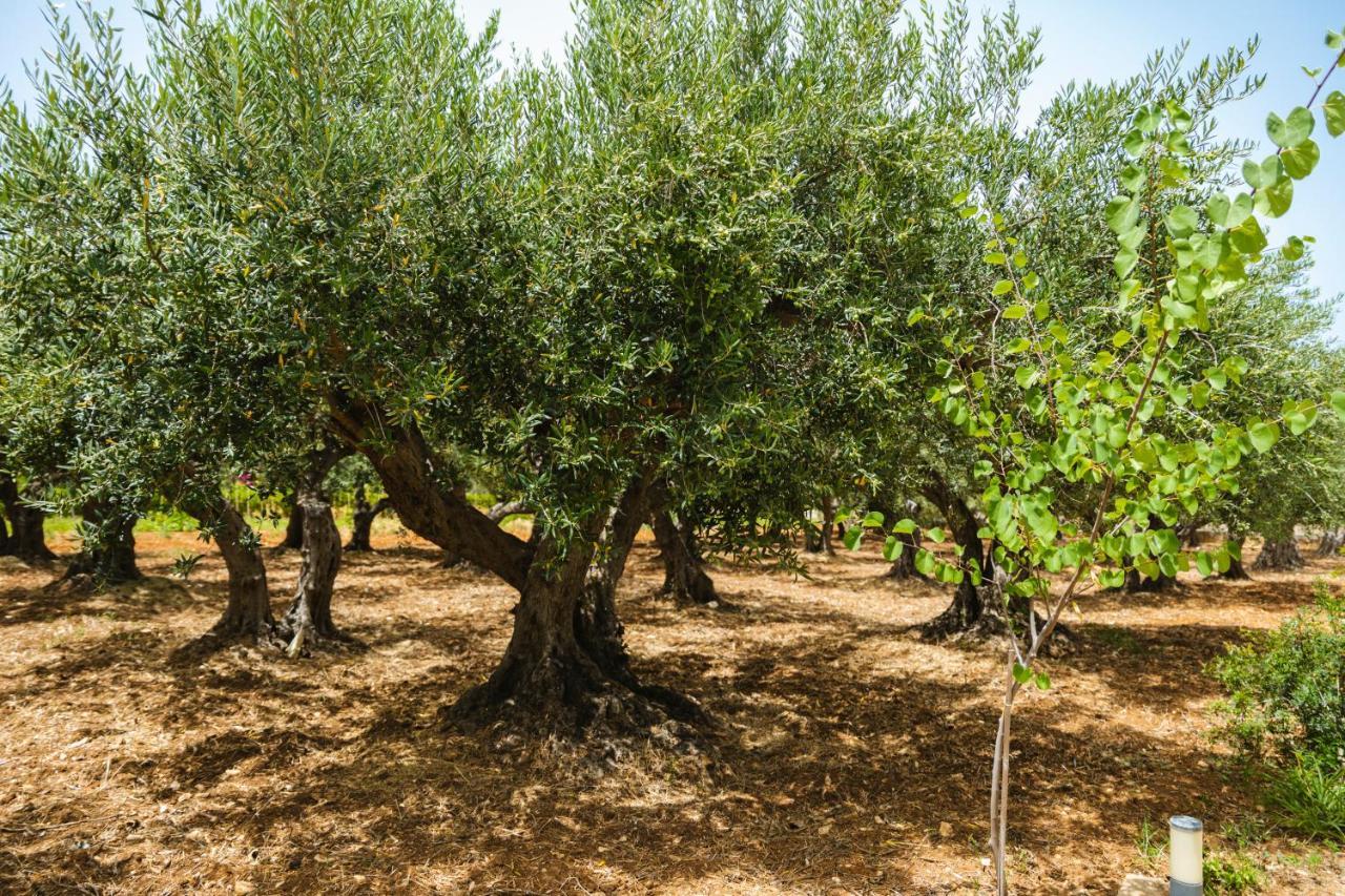 Casale La Macina Residence Scopello スコペッロ エクステリア 写真