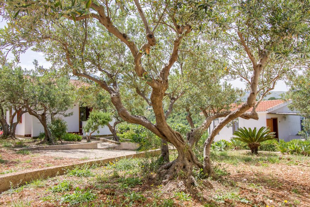 Casale La Macina Residence Scopello スコペッロ エクステリア 写真